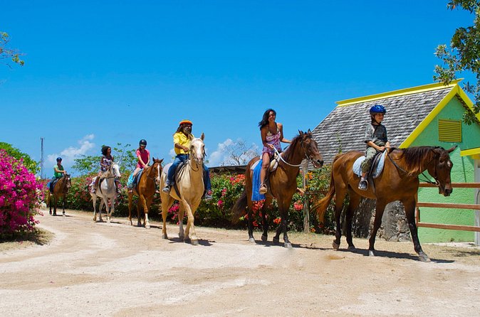 Sand n Saddle Horseback Ride & Swim Tour from Falmouth - Small details that can make the day better