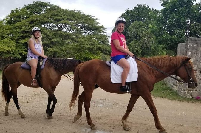 Sand n Saddle Horseback Ride & Swim Tour from Runaway Bay - Lunch, Red Stripe, and the real cost