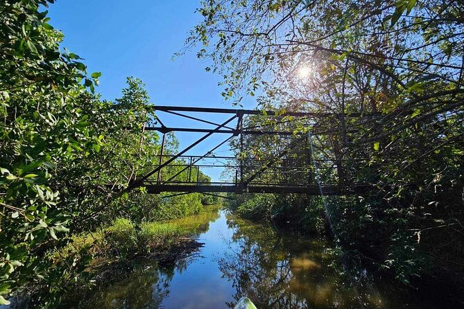 Scenic & Historical Nature Boat Safari Up the Negril River - Stories of Negril along the river
