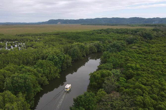 Scenic & Historical Nature Boat Safari Up the Negril River - What the $65 price really buys you