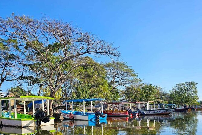 Scenic & Historical Nature Boat Safari Up the Negril River - Weather, timing, and practical details