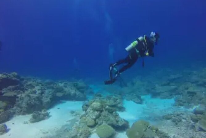 Scuba Diving and shopping on the Hipstrip. - The 20-minute visual session sets the pace