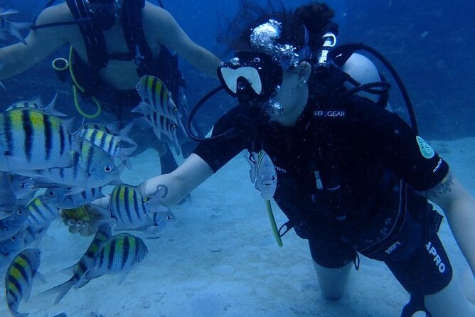 Scuba Diving and shopping on the Hipstrip. - Pool practice before the open water