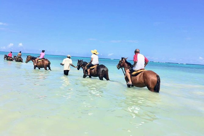 Secret Falls, Blue Hole, and Horseback Riding from Ocho Rios - Key points to know before booking