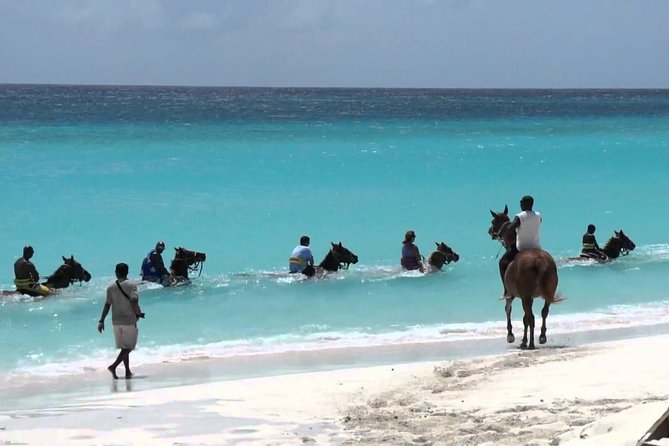 Secret Falls, Blue Hole, and Horseback Riding from Ocho Rios - Cooling off at the Blue Hole