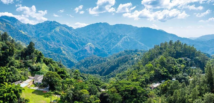 Shared/Private Full Day Blue Mountains Tour -Top Attractions - Craighton Estate and the Blue Mountain coffee story