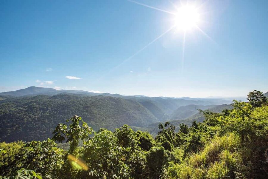 Shared/Private Full Day Blue Mountains Tour -Top Attractions - Who will enjoy this Jamaica day trip?