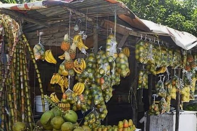 Sightseeing Tour in Ocho Rios - What this Ocho Rios tour is really offering