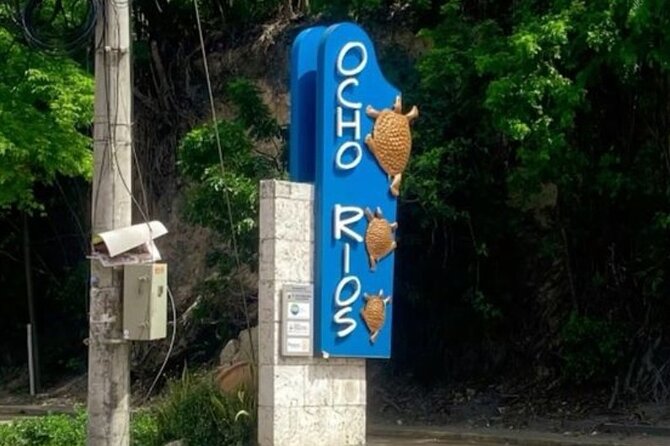 Sightseeing Tour in Ocho Rios - Private transport is the biggest practical advantage