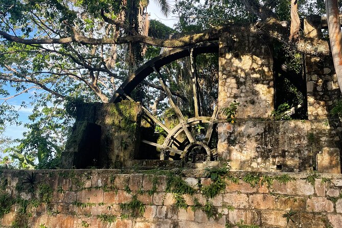 Sightseen tour and Souvenir shopping with private transportation in Montego Bay - What you can find along the Hip Strip