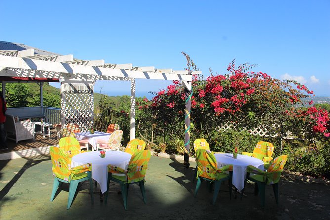 Skip the Line: Ahhh Ras Natango Gallery and Garden Admission Tickets - Hummingbirds, Native Plants, and a Hands-On Visit