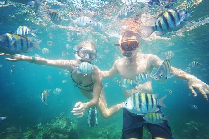 Snorkeling and Shopping in Montego Bay with Hotel pickup - Hotel pickup can save time, but confirm it first