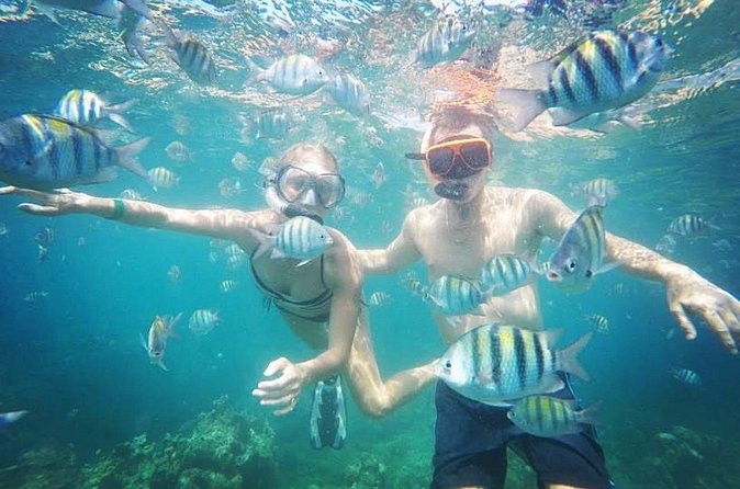 Snorkeling and Shopping in Montego Bay with Hotel pickup - Who will enjoy this activity most?