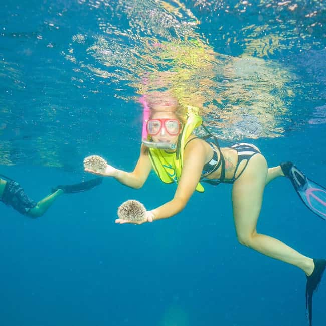 Snorkeling in Montego Bay with Transportation - What the Montego Bay snorkeling trip is really like