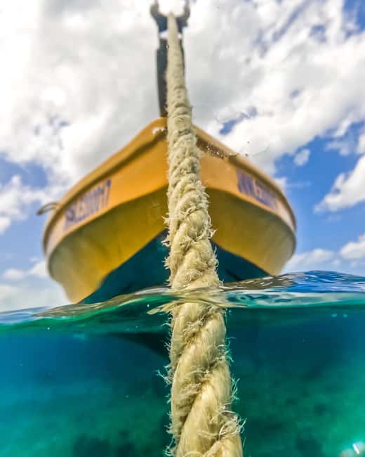 Snorkeling in Montego Bay with Transportation - Who will enjoy this short reef outing?