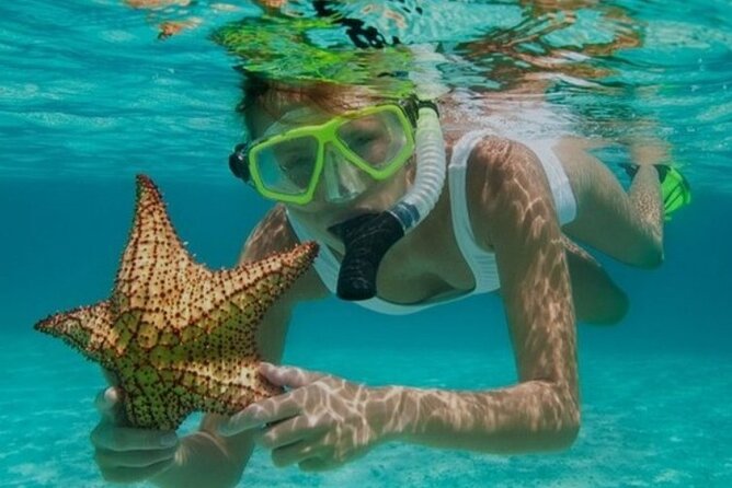 Snorkeling with Margaritaville and shops on Hipstrip activity - Key points at a glance
