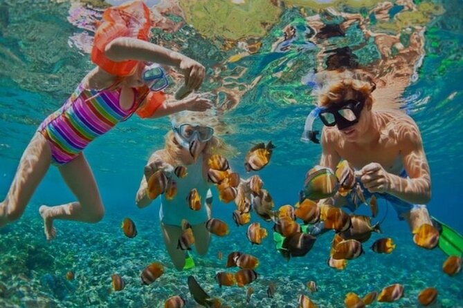 Snorkeling with Margaritaville and shops on Hipstrip activity - A quick reef trip near Montego Bay