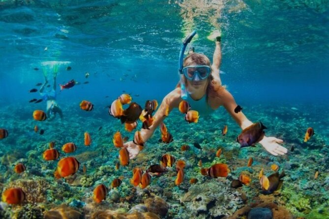 Snorkeling with Margaritaville and shops on Hipstrip activity - Boarding the boat near Doc Cove Beach