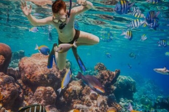 Snorkeling with Margaritaville and shops on Hipstrip activity - Getting to the water with Moulton Tours