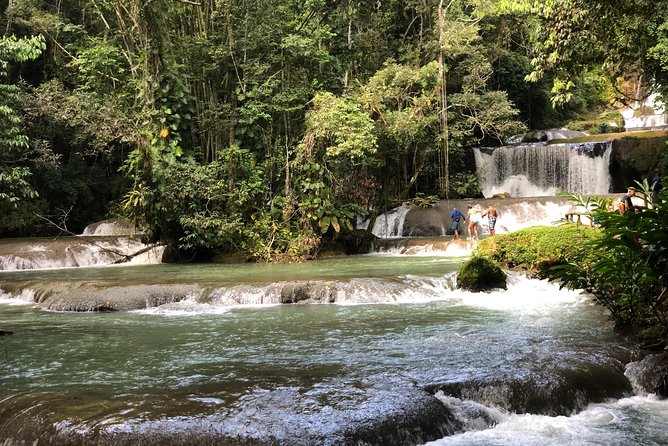 South Coast Jamaica YS Falls Tour - Key points to know before you book