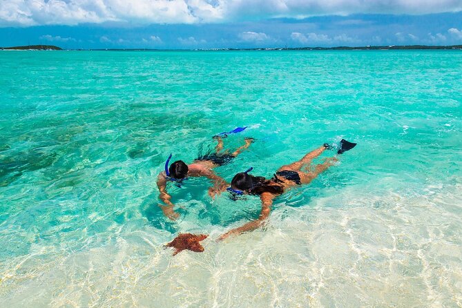 Sunset Catamaran cruise, Snorkeling and Rick's Cafe from Mobay - One hour on Seven Mile Beach