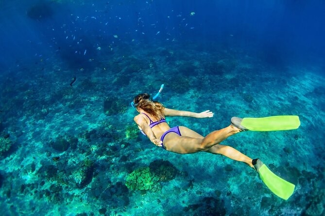 Sunset Catamaran cruise, Snorkeling and Rick's Cafe from Mobay - What guide Travis adds to the day