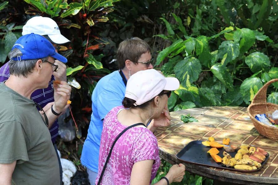 Taste of Jamaica Farm & Food Tour - Key points to know before you go