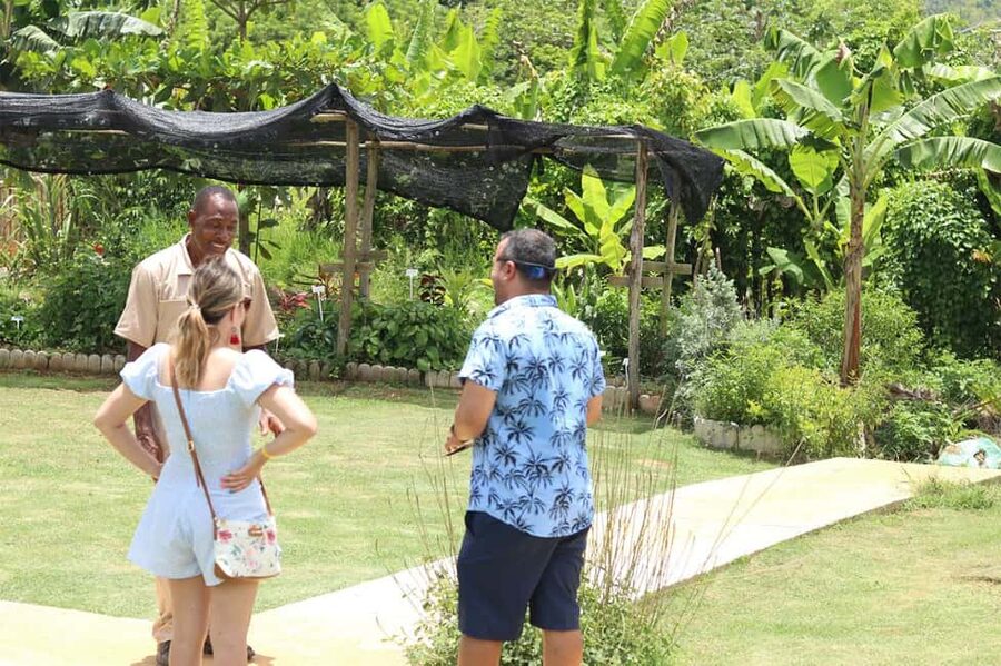 Taste of Jamaica Farm & Food Tour - Reading the labels in the herbal garden