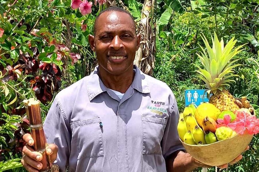 Taste of Jamaica Farm & Food Tour - Why the $98 price can make sense