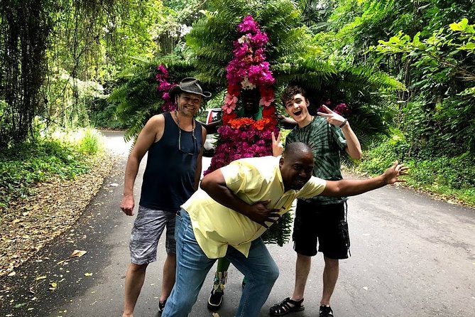 Taste of Jamaica Food Tour from Ocho Rios - Caribbean Sea photo stops on the ridge