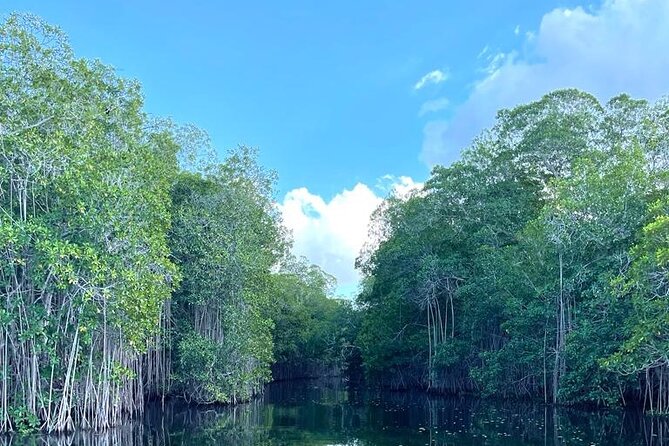 Tour to Black River and YS Falls - Floyd’s Pelican Bar, ten minutes out at sea