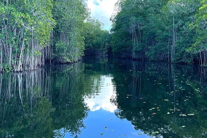 Tour to Black River and YS Falls - The road time is part of the deal