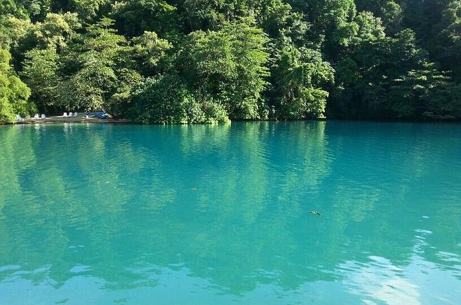 Tour to Fern Gully and Konoko Falls and Park - Booking and cancellation details