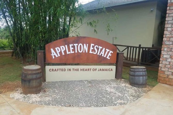 YS Falls and Appleton Estate Private Rum Tour - Appleton Estate and the making of Jamaican rum