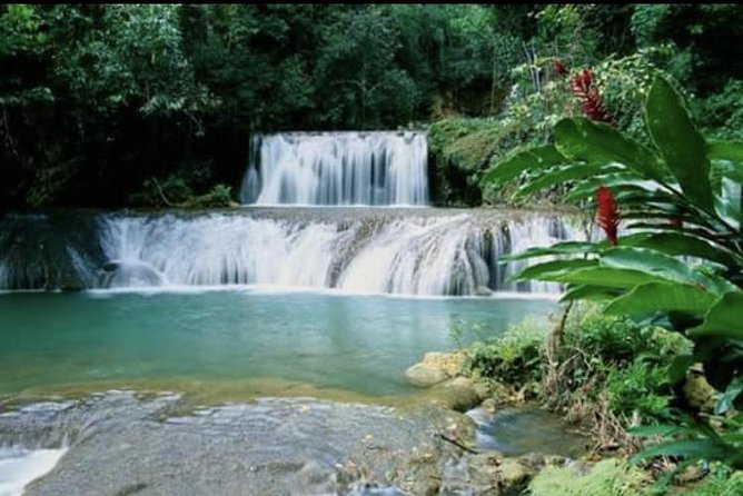YS Falls and Appleton Estate Private Rum Tour - How the private format changes the day