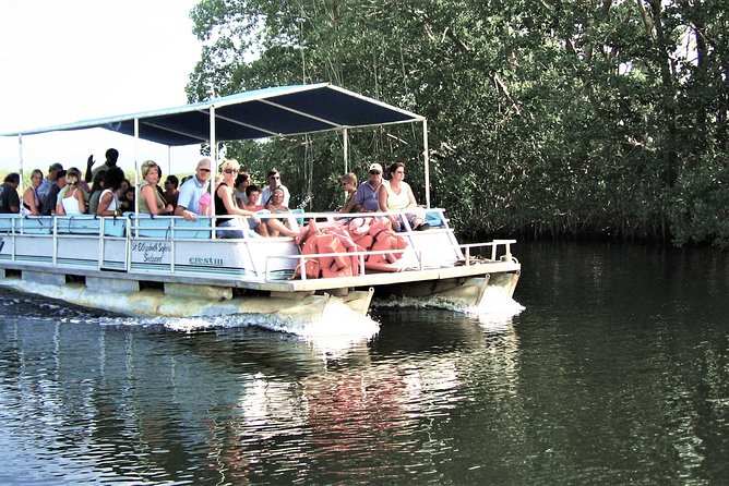 YS Falls and Black River Safari Guided Tour from Montego Bay and Grand Palladium - Why this South Coast day is worth considering