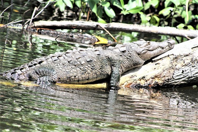 YS Falls and Black River Safari Guided Tour from Montego Bay and Grand Palladium - What the $145 price really covers