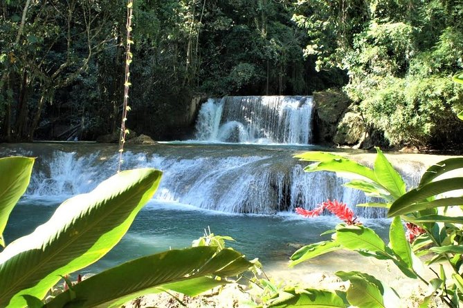 YS Falls and Black River Safari Guided Tour from Montego Bay and Grand Palladium - Who should book this tour