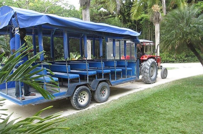 YS Falls and The Pelican Bar Adventure Tour from Negril - A guide can make the long day easier
