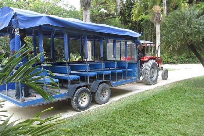 YS Falls and The Pelican Bar Adventure Tour from Negril - YS Falls: 90 minutes among seven cascades