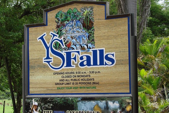 YS Falls, Black River Safari, and Floyd's Pelican Bar Day-Trip (Transportation) - A full south-coast day from Montego Bay