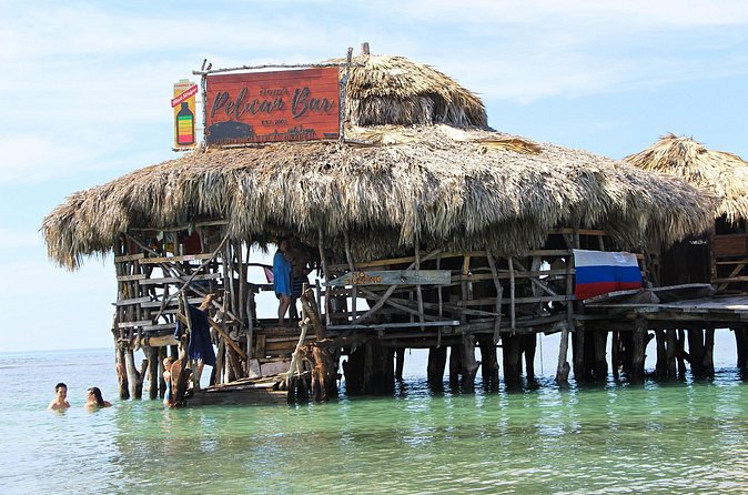 YS Falls, Black River Safari, and Floyd's Pelican Bar Day-Trip (Transportation) - How the day feels in practice