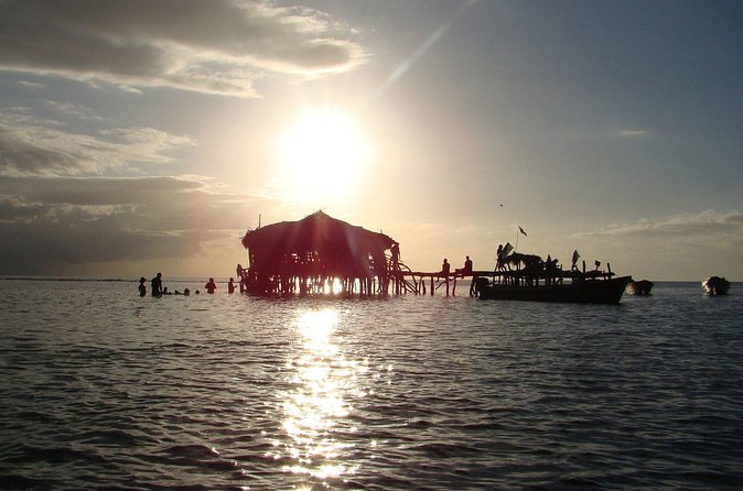 YS Falls, Black River Safari, and Floyd's Pelican Bar Day-Trip (Transportation) - Who should book this day trip