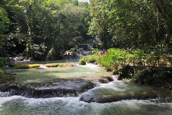 YS Falls, Black River Safari, and Floyd's Pelican Bar Day-Trip (Transportation) - Swaby’s Swamp Safari on the Black River