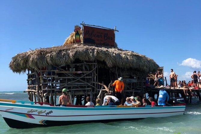 YS Falls, Black River Safari, Appleton Rum Tour OR Pelican Bar (Choose Up to 3) - Floyd’s Pelican Bar: a boat ride to a driftwood hangout