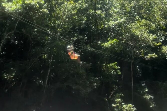 YS Falls, Black River Safari, Appleton Rum Tour OR Pelican Bar (Choose Up to 3) - The road is part of the tour