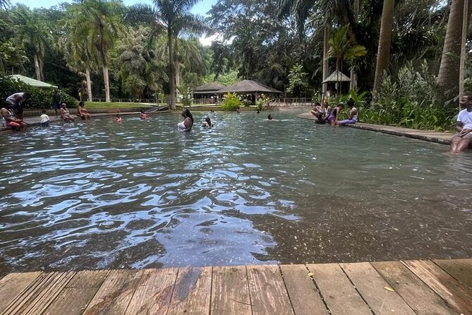 YS Falls, Black River Safari, Appleton Rum Tour OR Pelican Bar (Choose Up to 3) - Timing, closures, and practical planning