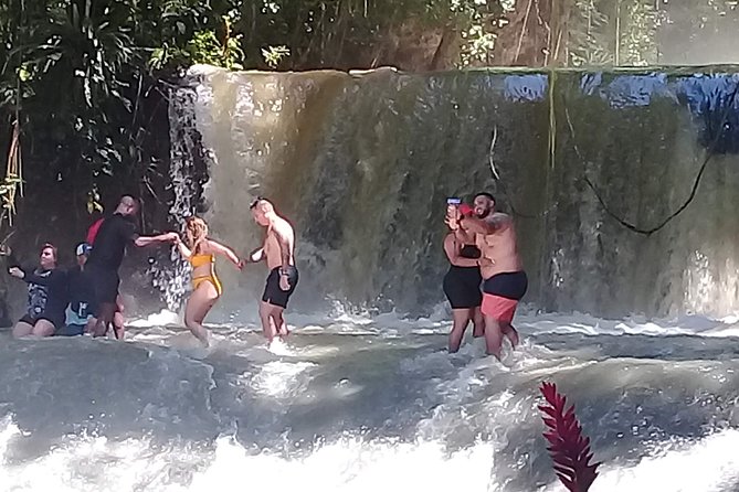 YS Falls & Pelican Bar Tour - Key points before you book