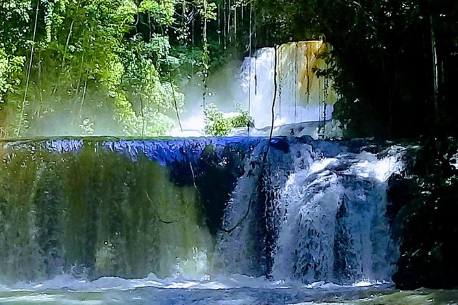 YS Falls & Pelican Bar Tour - What the private guide adds to the day