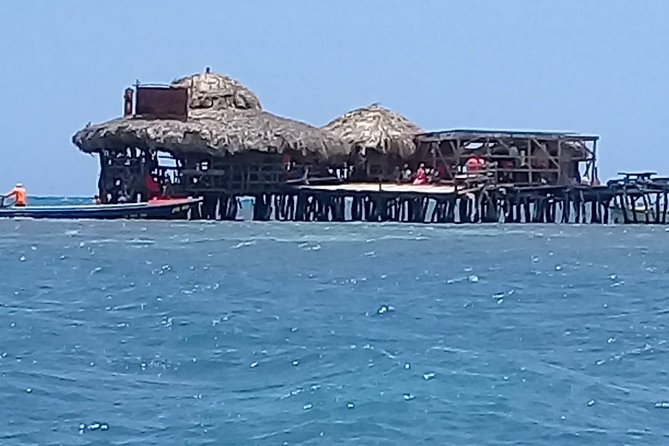 YS Falls & Pelican Bar Tour - Who should book this private outing?